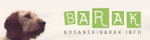 bosanskibarak.info